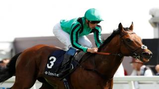 Century Dream in action at Epsom this year